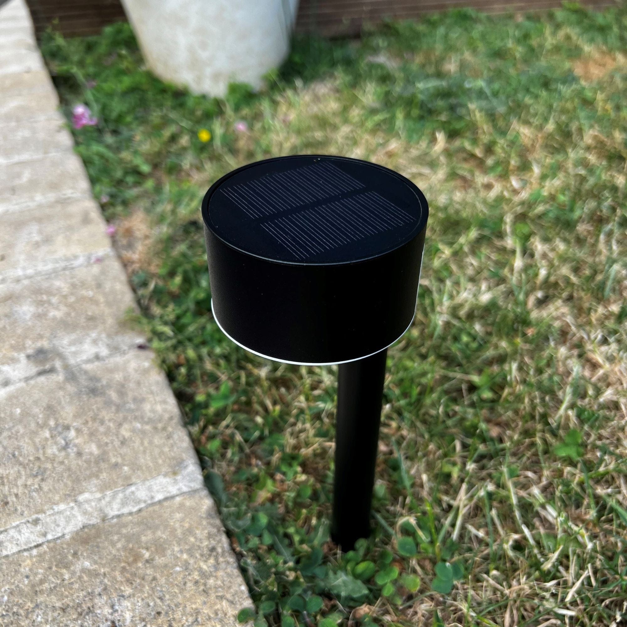 QUEEN Solar-LED-Leuchte zum Pflanzen – Höhe 24 cm – 100 Lumen – Schwarz – Lumihome
